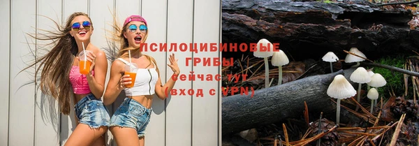 соль ск Алзамай