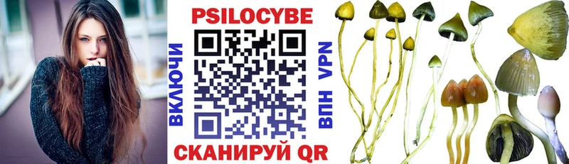 Псилоцибиновые грибы прущие грибы  Ноябрьск 